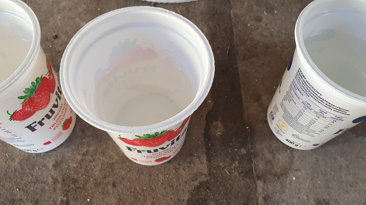 cup2