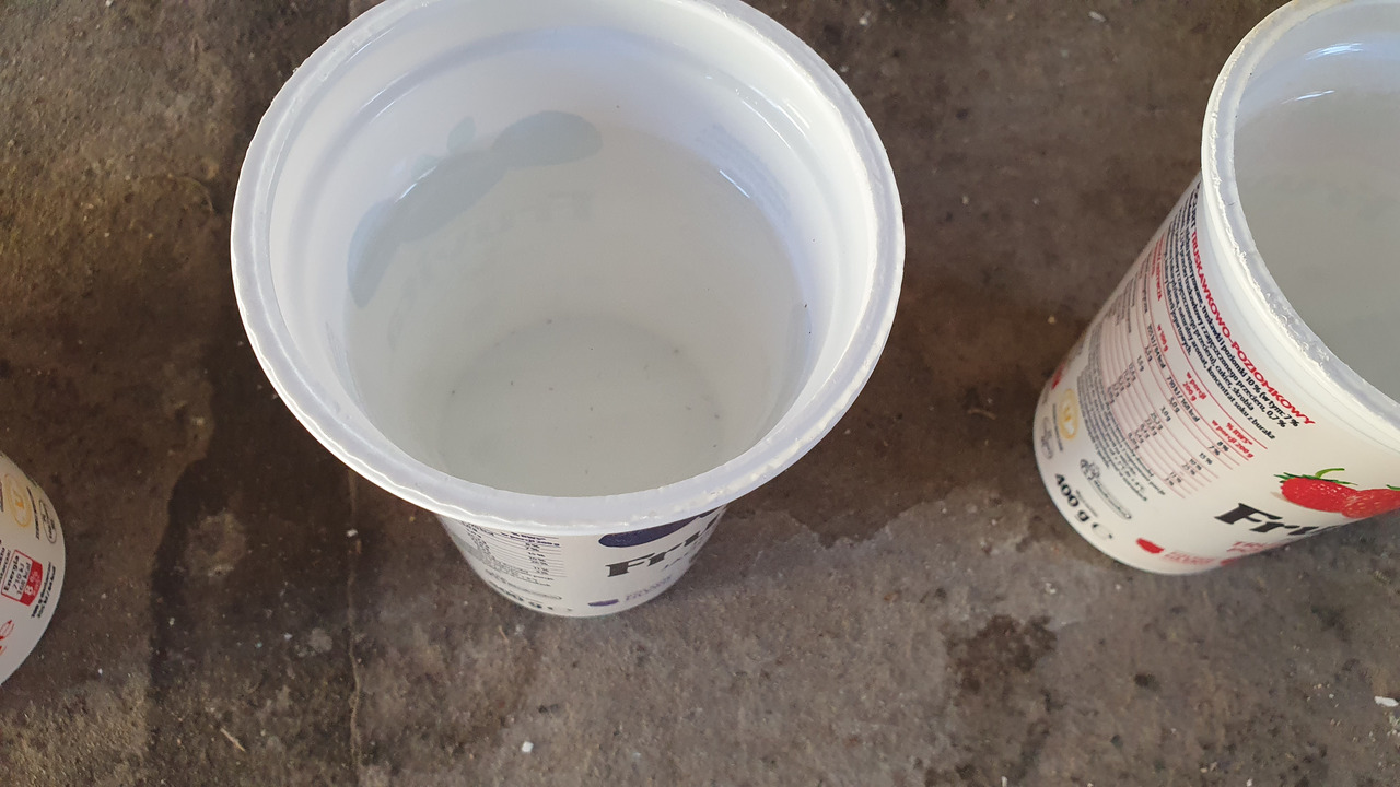 cup3